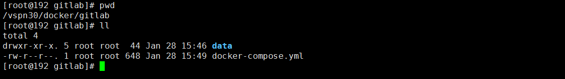 image-20210128155007633